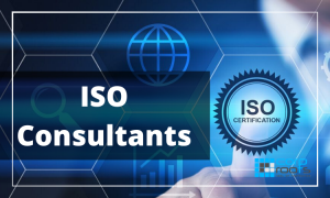 ISO consultants
